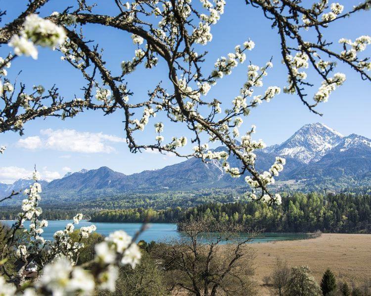 New Life Apartment Latschach ober dem Faakersee Εξωτερικό φωτογραφία